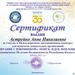 Портфолио